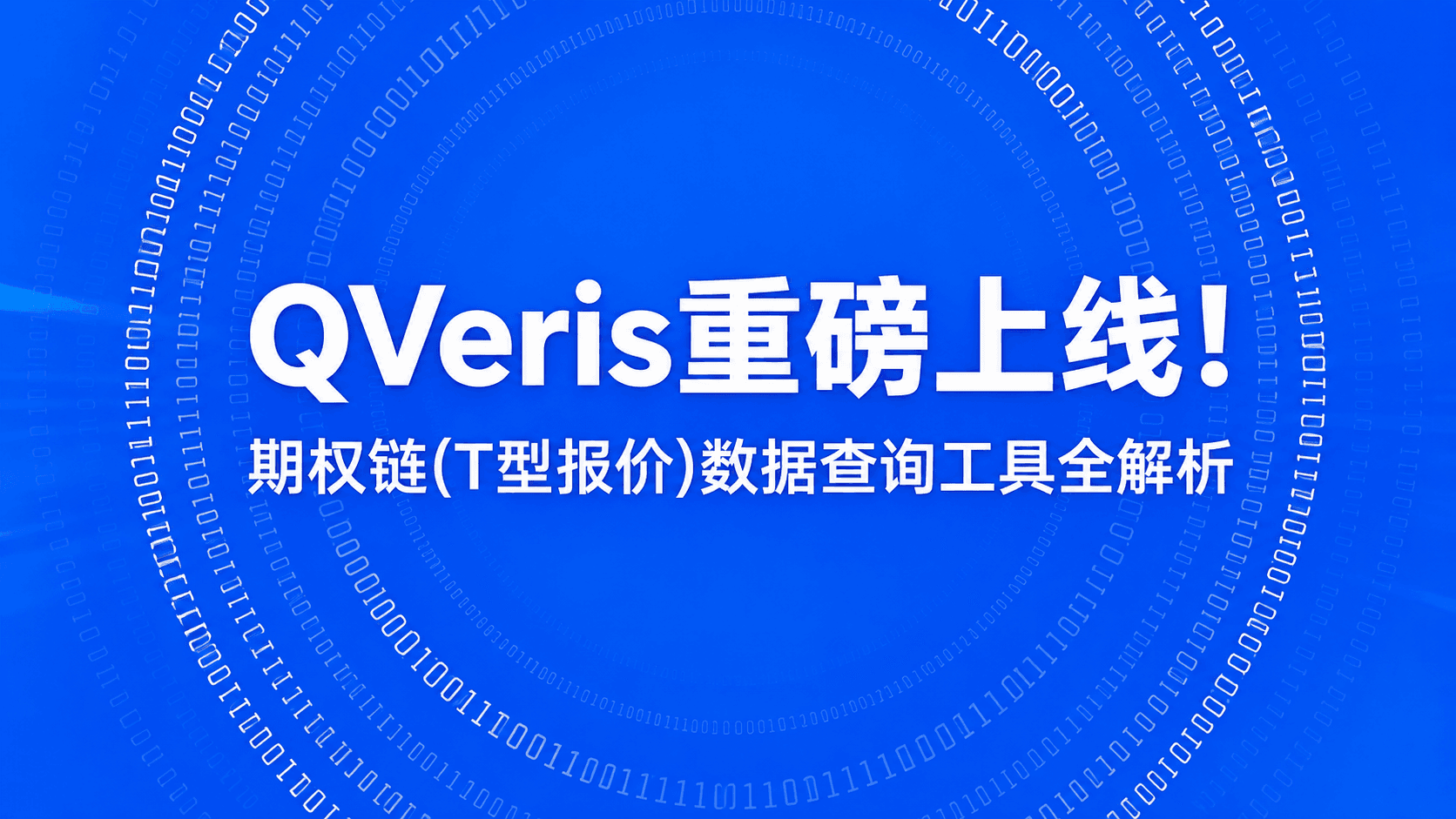 QVeris重磅上线!期权链(T型报价)数据查询工具全解析